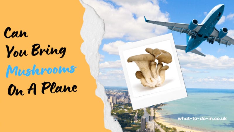 Can you take mushrooms on a plane