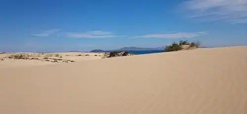 Sand dunes Corralejo