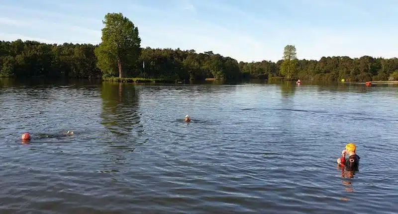 Hawley Lake in Hampshire is popular with outdoor swimmers