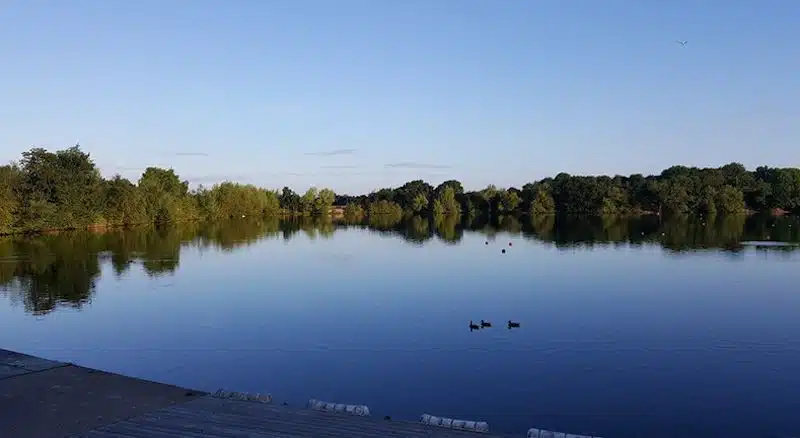 Netherton Reservoir in the West Midlands a wonderful spot for wildlife enthusiasts and swimmers