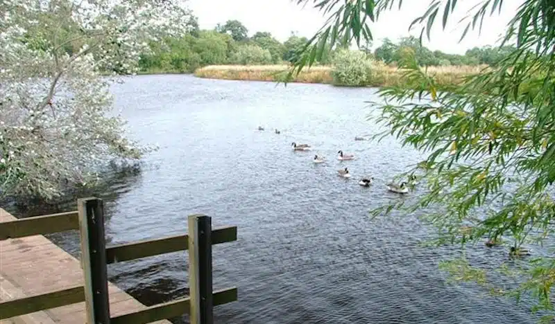 The River Tees at Preston Park