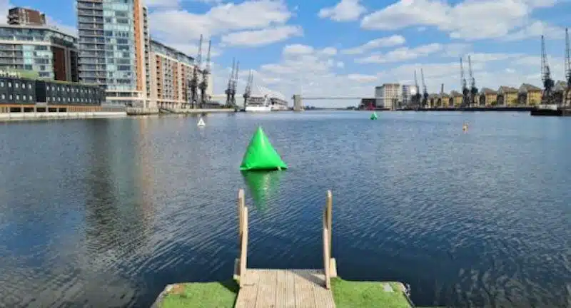 The Royal Docks have wild swimming session in London