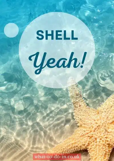 Shell Yeah beach quote