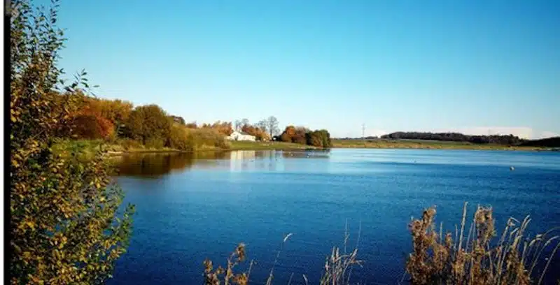 Thrybergh Country Park, located in Rotherham, South Yorkshire, is a beautiful destination for wild swimming