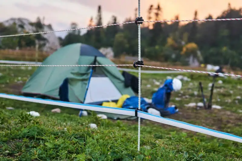Camping in a designated bear safe location with electric fences.