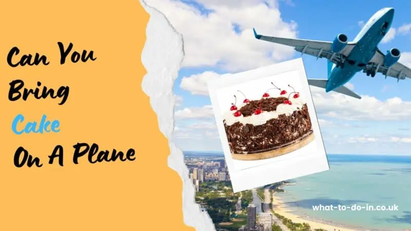 can you bring cake on a plane