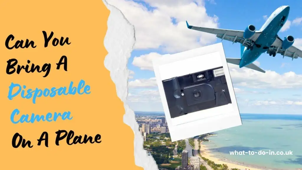 can you bring a disposable camera on a plane