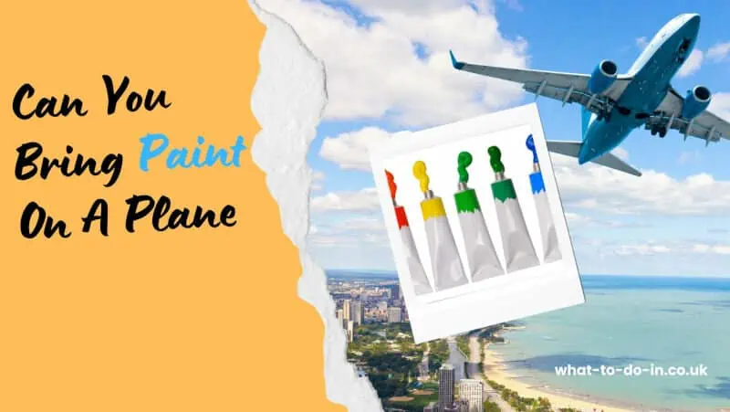 can you bring paint on a plane