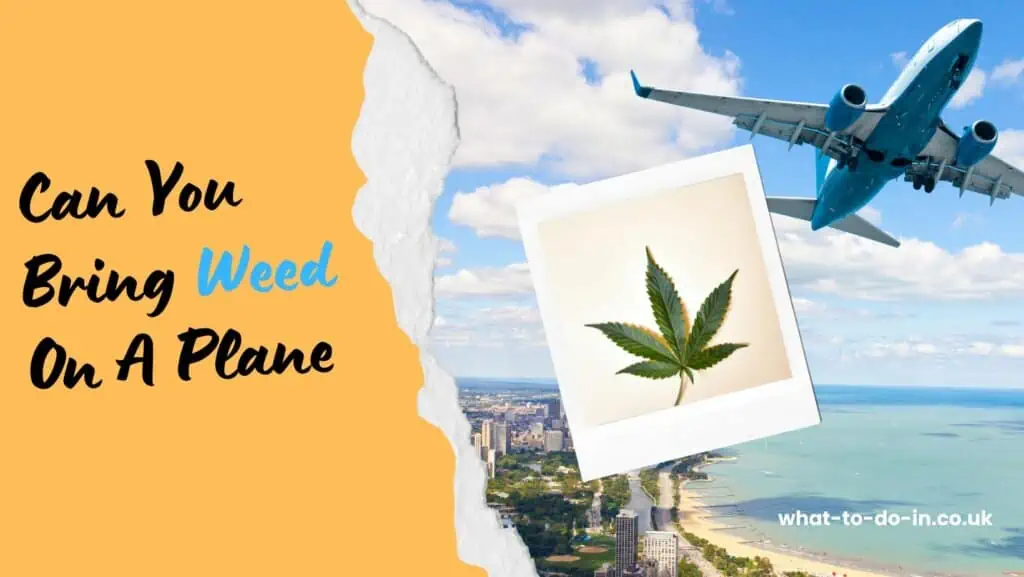 can you bring weed on a plane