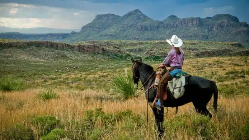 horseback riding texas