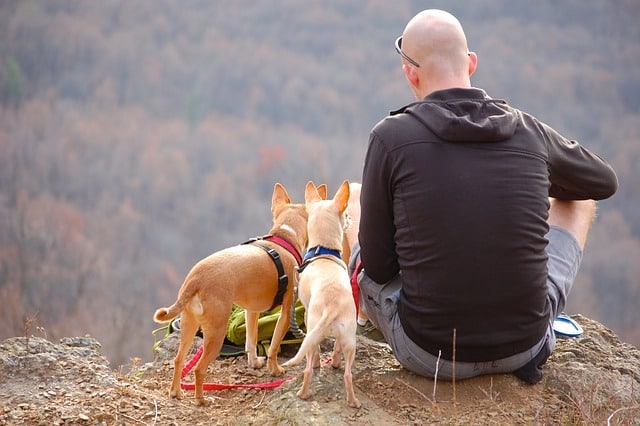 A happy hiker with their canine companion enjoying the great outdoors
