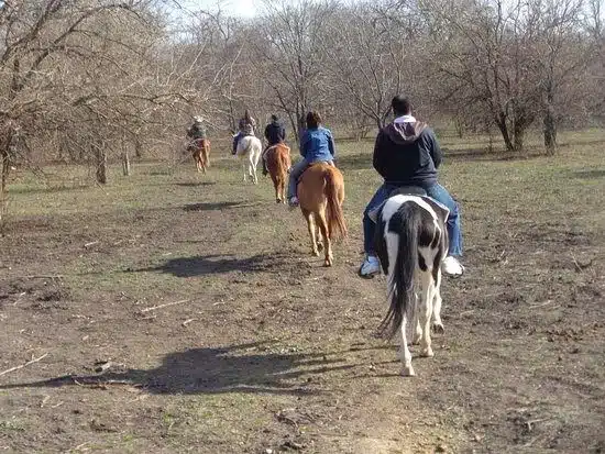 river ranch horse back riding