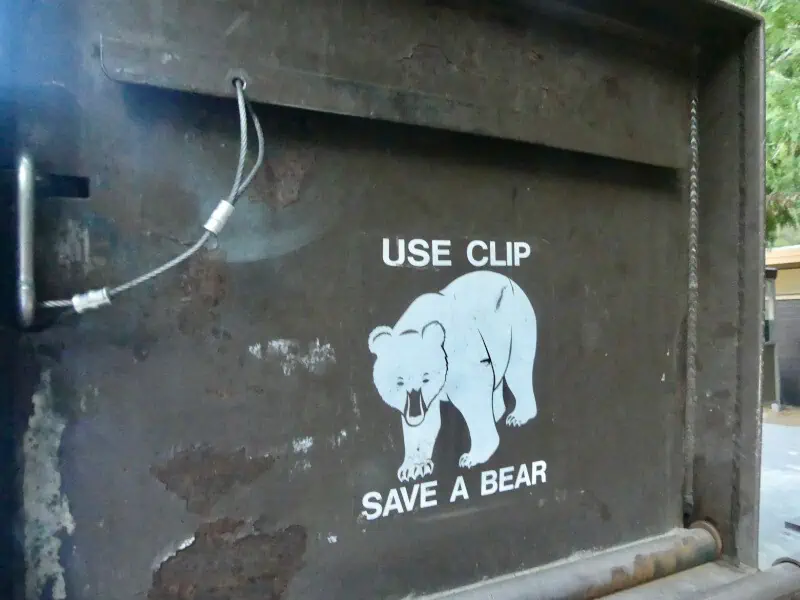 Use a clip to save a bear