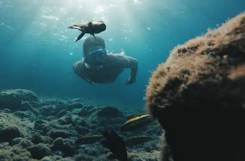 scuba diving Fuerteventura