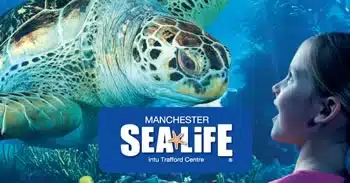 sea life centre manchester