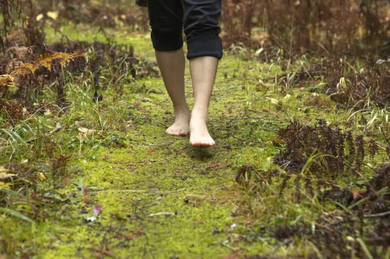 walking on moss and grass trail